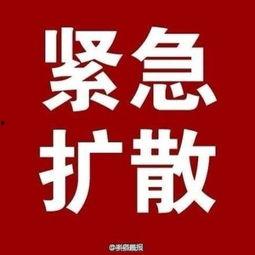 新精华官方爆料最新消息,最新消息揭秘神秘功能与升级亮点 第2张 新精华官方爆料最新消息,最新消息揭秘神秘功能与升级亮点 第2张